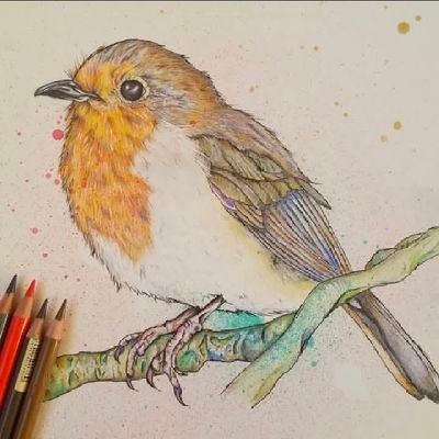 sarahgallwrites's profile picture. Heart of the Wolf Queen, an epic adult romantasy with a partially sighted FMC, second chance romance and animal companion arrives Spring 26 from @SecondSkyBooks