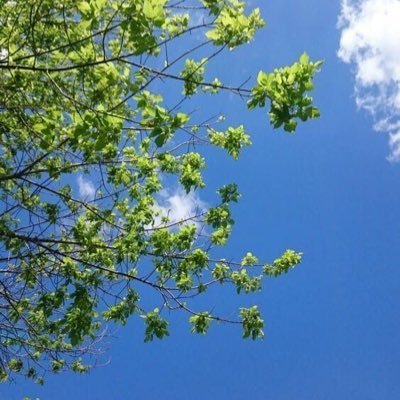 navas_cami's profile picture. 