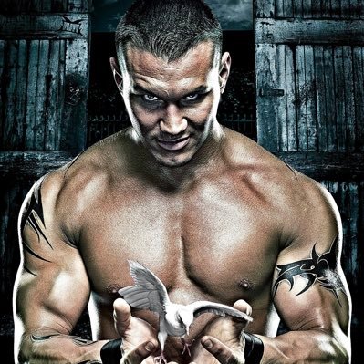 wrestleporl's profile picture. Wrestling fan acct only