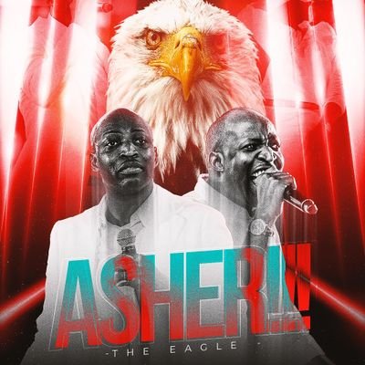 dove_designer's profile picture. 