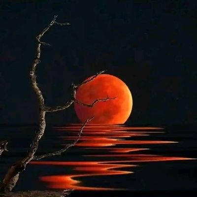 nick_samue24668's profile picture. 