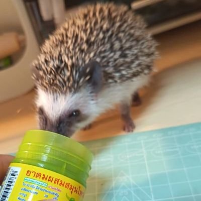 lillilnov's profile picture. 