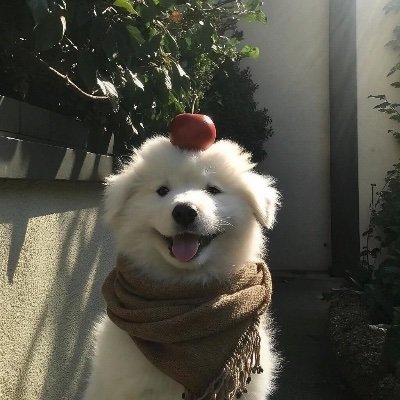 BaptisteC52579's profile picture. 