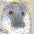 cadakatsun's profile image