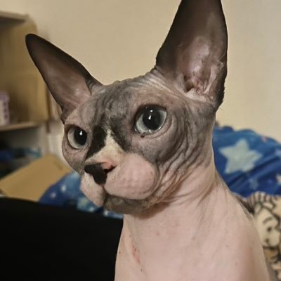 kiyo_yoon's profile picture. 