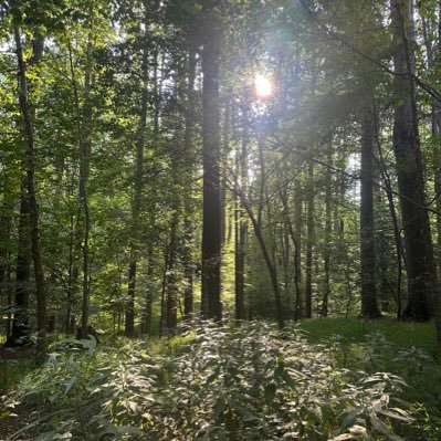 truthshallnlwh's profile picture. 