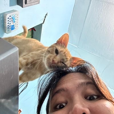 samfrndz_'s profile picture. 