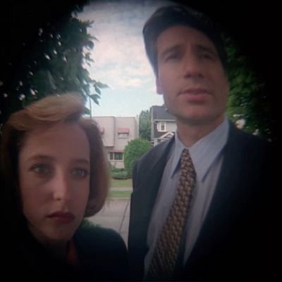 pinechans's profile picture. 