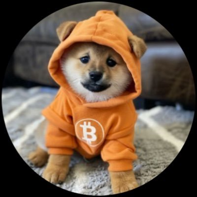 zhanhuangli's profile picture. $DOG GO TO THE MOON