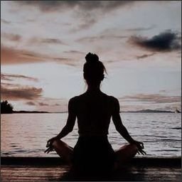 AlfrediaTo4460's profile picture. 