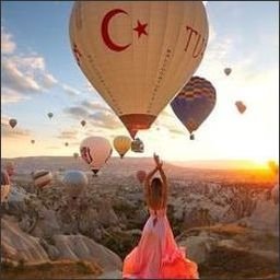 TDebien65663's profile picture. 