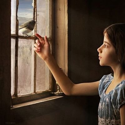 ssk22025's profile picture. سينتهي كل همٍّ  كان  يرهقنا༺༻
فللبشائرِ  وعدٌ  و المنى  ثمَنُ༺༻
سنشتكي  للذي  نجواهُ  تُسعِدُناʚɞ
فعند  أبوابِهِ  يسمو  بنا  الشجَنُʚɞ