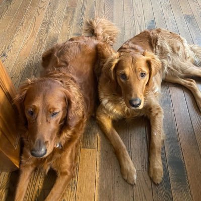 EricMclenny's profile picture. 