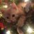 i4soye's profile image