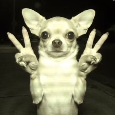 Mhhhm9m's profile picture. 