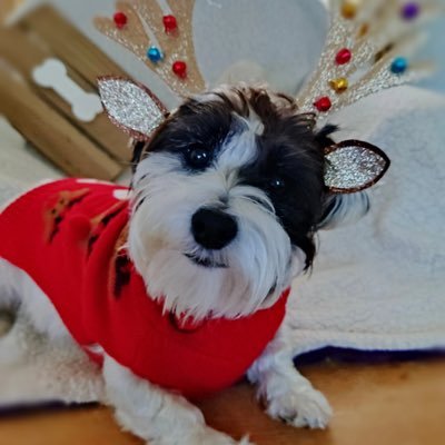 angryala's profile picture. 