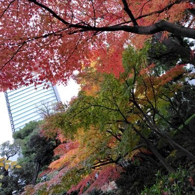 Zhgok4nxTW38702's profile picture. 直腸カルチノイド/直腸NET　情報を知りたく無言フォロー失礼します