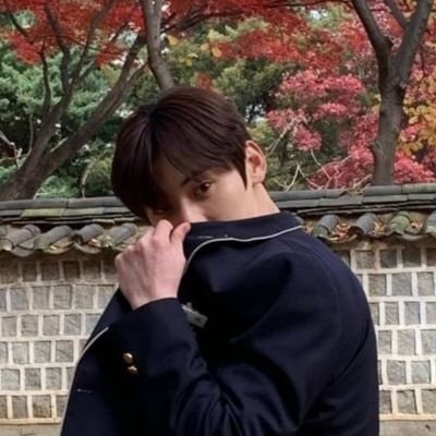 1_tantantanpltn's profile picture. 