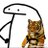 phorns478's profile image