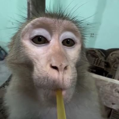 SavageLeeCooper's profile picture. On a Break | Radical Feminist | A panda's 🐼 spirit trapped inside a human body🥃 | embodiment of Santhosh Khan 🤙
ig : @fictionally_speaking_