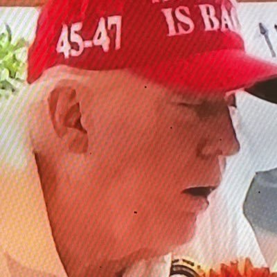 EarlDBarnes2's profile picture. RELEASE THE FILES and stop lying about Migrants getting free healthcare” they are not” because they don’t qualify for them….vote republicans out in 2026