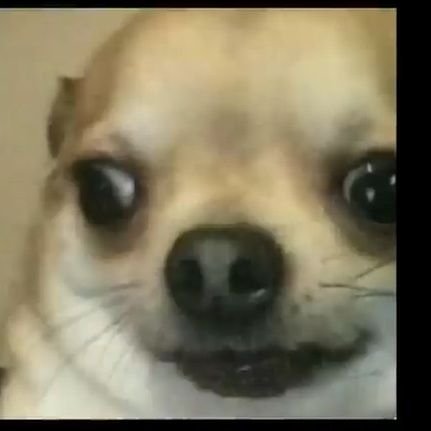 lusa1642969's profile picture. 