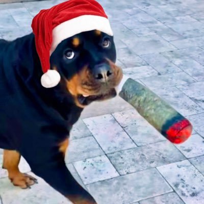 demoestlamour's profile picture. 