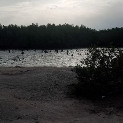 BanguraBan62486's profile picture. May Allah grant us goodness upon each other insahAllah ☝️🤲