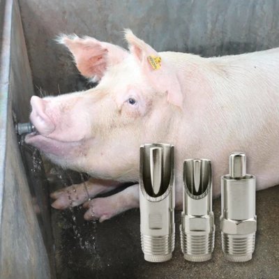 hubbaballoo542's profile picture. https://t.co/6Q20hfPaCt