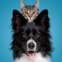 IhateXandEM's profile picture. 