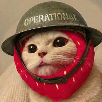 0xm4gn's profile picture. on-chain l narrative news trading