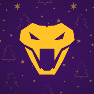 vnm_cs's profile picture. Fear the bite...
Mail: venom@stormmedia.gg