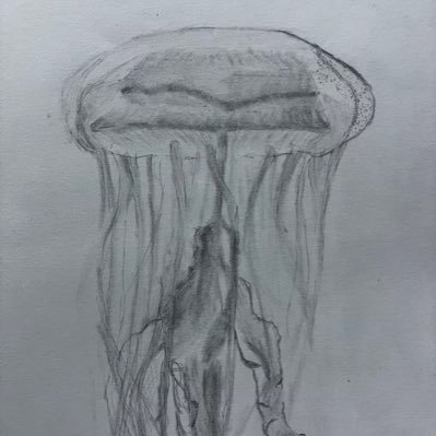 ekaki_no_kura's profile picture. 受験のため、そして絵をあまり描かないため低浮上。描きたい時に描いて、投稿して、自分の好きなことを広めていければと思います。