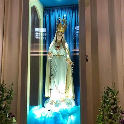 GekhongL713471's profile picture. orthhhoupedic surgeon doctor