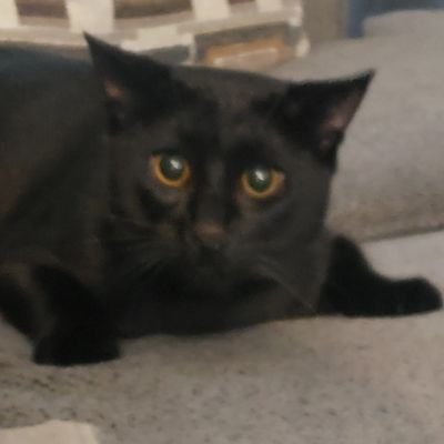 XPremiummm's profile picture. most mysterious man on x

most mysterious man on x

most mysterious man on x

I do giveaways, I usually just scroll, don't talk much on here

I do giveaways