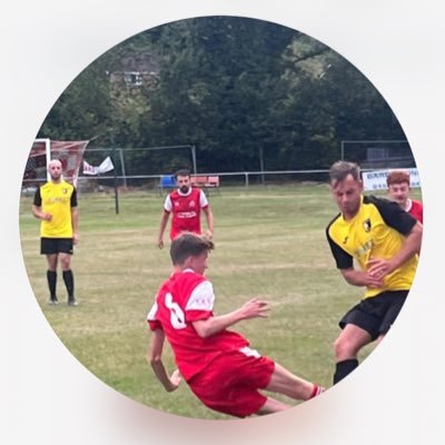 TomRoseBall's profile picture. 