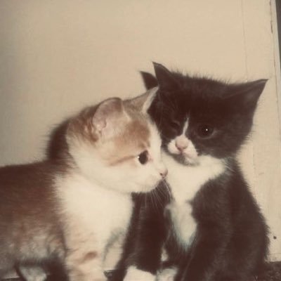 PimPimyada48's profile picture. 