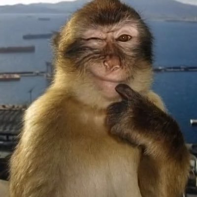 MacanochieNeo's profile picture. 