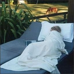 KJulock22820's profile picture. 