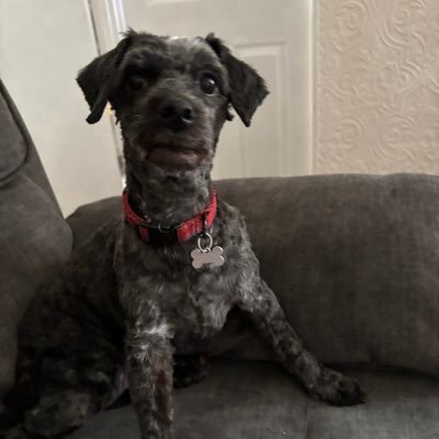 LisaMit32978320's profile picture. Love of Country, Pop, Irish, Rock & Gospel Music, Reading, dogs, going out with family & friends, tv & movies.