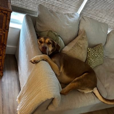 MGator9's profile picture. libertarian mom