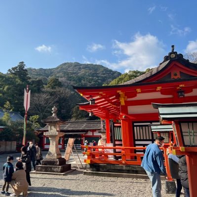 singuu_bot's profile picture. 