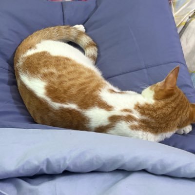 BhushanL1O's profile picture. Senior Frontend developer 🧑🏻‍💻 
Navigating the valleys of System Programming and Backend dev
Golang and Rust 🦀