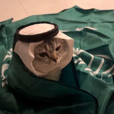 IsZayeemWeird's profile picture. I like Chudjaks, Windows and stuff. 
Bangladeshi 
数十億人がアップデートする必要があります。

He/Him