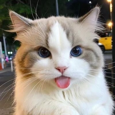 catnova80's profile picture. 