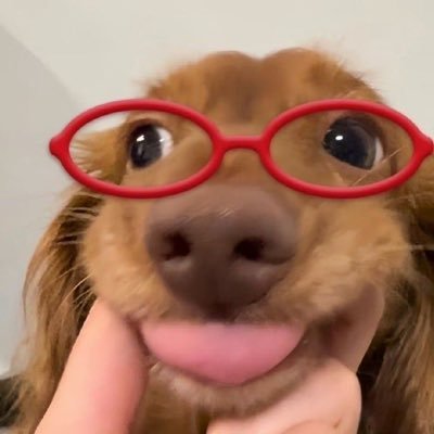 puppiery's profile picture. เคะ..กล้าม..อยุ่ไหน.. #arandherbooks