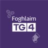 FoghlaimTG4's profile picture. Acmhainní Oideachais | Gaeloideachas | Gaeilge | Ceachtanna | Físeáin | Gearrscannáin | Filíocht | Saor in aisce