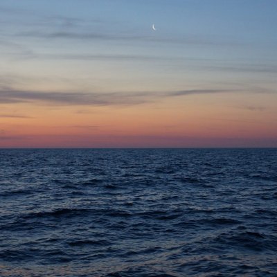 KismartoniLorin's profile picture. oh yeah