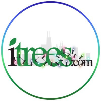 iTreesChicago's profile picture. Purveyor of fine trees