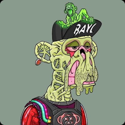 studiomccann's profile picture. Street Artist/Muralist/ Creative organizer, Founder of 10 street art festivals |  Web3 | Alphi OG Editor | Investor/Partner @LongLostNFT | @thinkagents